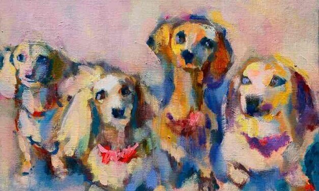NEW | ダックスフント | 油彩 x 油彩用紙  | 30 x 24cm | 2023 #犬