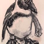 NEW | ドローイング x 紙 | 29 x 22cm #ペンギン