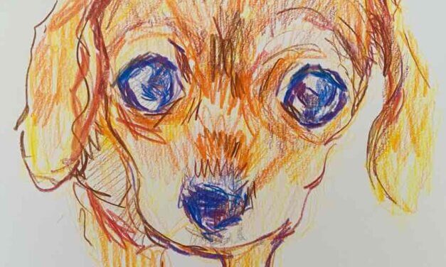 NEW | ドローイング x 紙  | 29 x 22cm | 2024 #犬