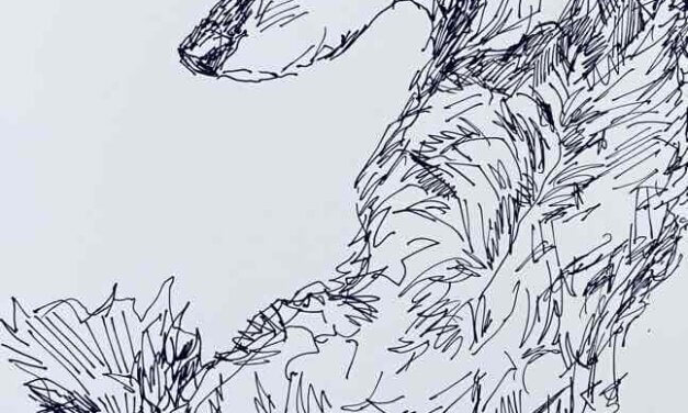 NEW | ドローイング x 紙  | 29 x 22cm | 2024 #犬