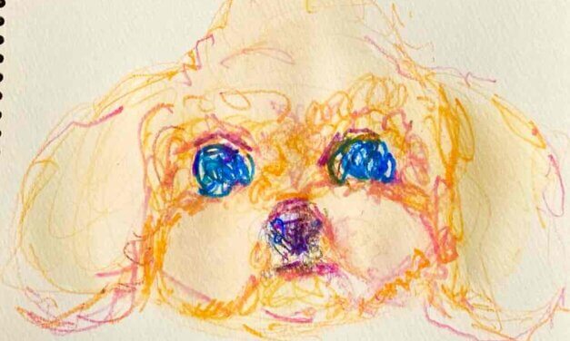 NEW | ドローイング x 紙  | 29 x 22cm | 2024 #犬