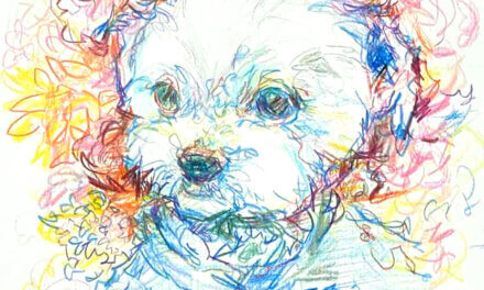 NEW | ドローイング x 紙  | 29 x 22cm | 2024 #犬