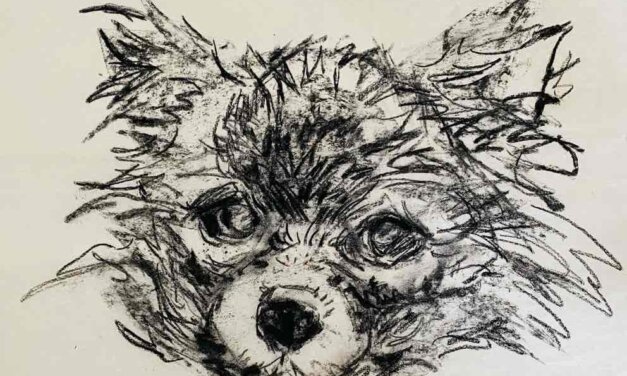 NEW | ドローイング x 紙  | 29 x 22cm | 2024 #犬