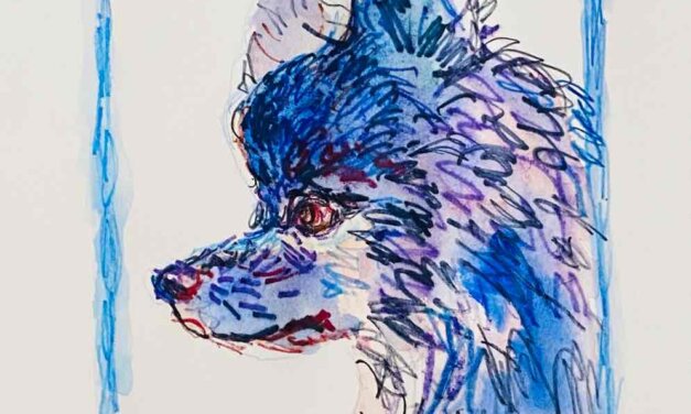 NEW | ドローイング x 紙  | 29 x 22cm | 2024 #犬