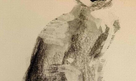 NEW | ドローイング x 紙  | 29 x 22cm | 2026  #猫