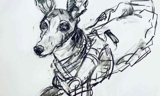 NEW | ドローイング x 紙  | 60 x 50cm | 2025 #犬