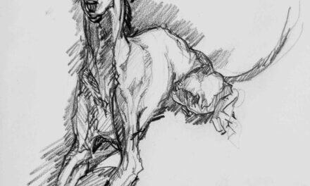 NEW | ドローイング x 紙  | 15 x 15cm | 2025 #犬