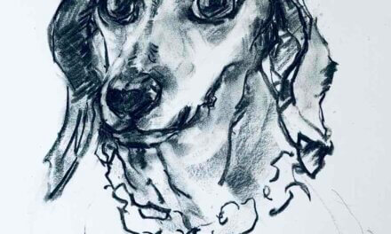 NEW | ドローイング x 紙  | 41 x 31cm | 2025 #犬
