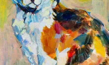 SOLD | 展覧会 | ねこ展 | KOBE SUBWAY MUSEUM | 1月29日-3月22日 | 2026 #現代アート