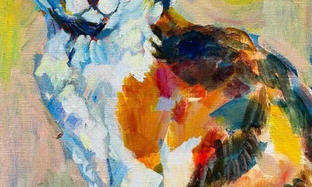 SOLD | 展覧会 | ねこ展 | KOBE SUBWAY MUSEUM | 1月29日-3月22日 | 2026 #現代アート