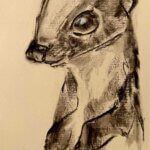 NEW | ドローイング x 紙  | 29 x 22cm | 2026  #オコジョ