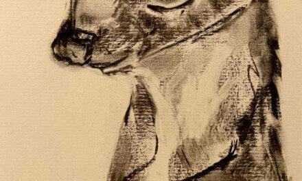 NEW | ドローイング x 紙  | 29 x 22cm | 2026  #オコジョ