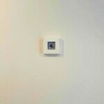 new | 7X7CM | 展覧会 | ねこ展 | KOBE SUBWAY MUSEUM | 1月29日-3月22日 | 2026 #現代アート