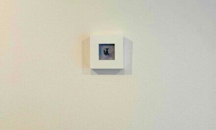 new | 7X7CM | 展覧会 | ねこ展 | KOBE SUBWAY MUSEUM | 1月29日-3月22日 | 2026 #現代アート