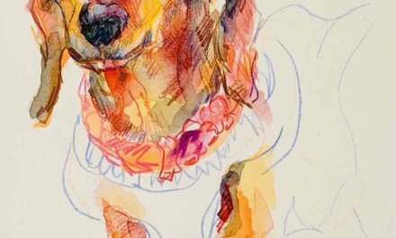 予約受付中 | ドローイングイベント | 3月8日 | ねこ展 | 神戸北野美術館 | 2026 #現代アート