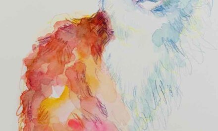 終了しました | ドローイングイベント | 3月8日 | ねこ展 | 神戸北野美術館 | 2026 #現代アート