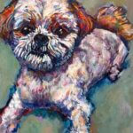 個展 | OH MY PETS | HARMONYST | 4月24日- 5月24日 | 2026 #東京