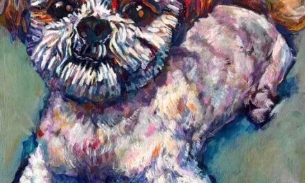 個展 | OH MY PETS | HARMONYST | 4月24日- 5月24日 | 2026 #東京