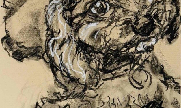 NEW & sold | 水彩 x 紙  | 29 x 22cm | 2026 #犬