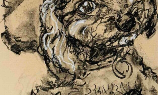 NEW | ドローイング x 紙  | 41 x 31cm | 2025 #犬