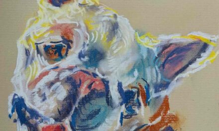 NEW | ドローイング x 紙  | 41 x 31cm | 2025 #犬