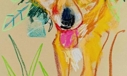 NEW | ドローイング x 紙  | 41 x 31cm | 2025 #犬