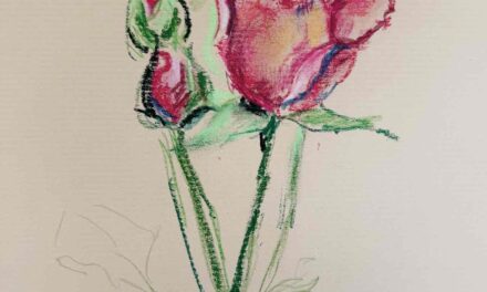 NEW | ドローイング x 紙  | 29 x 22cm #花
