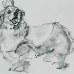 NEW | ドローイング x 紙  | 31 x 41cm | 2025 #犬