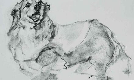 NEW | ドローイング x 紙  | 31 x 41cm | 2025 #犬
