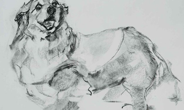 NEW | ドローイング x 紙  | 31 x 41cm | 2025 #犬
