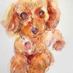 sold | ドローイング x 紙  | 29 x 21cm | 2026 #犬