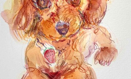 sold | ドローイング x 紙  | 29 x 21cm | 2026 #犬