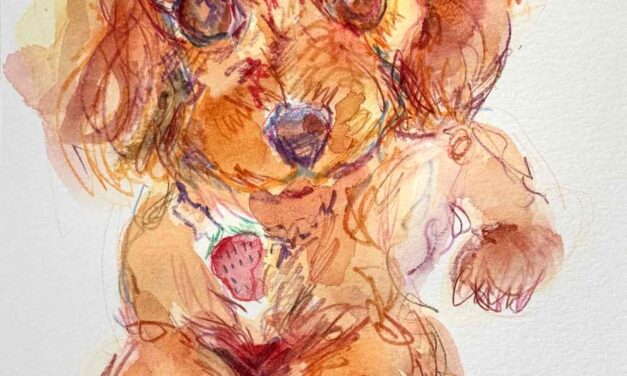 sold | ドローイング x 紙  | 29 x 21cm | 2026 #犬
