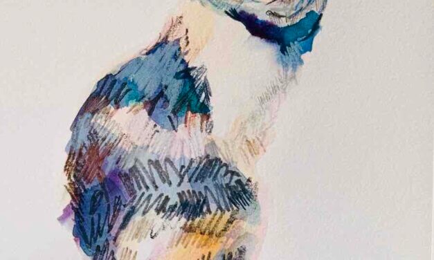 予約受付中 | ドローイングイベント | 3月8日 | ねこ展 | 神戸北野美術館 | 2026 #現代アート