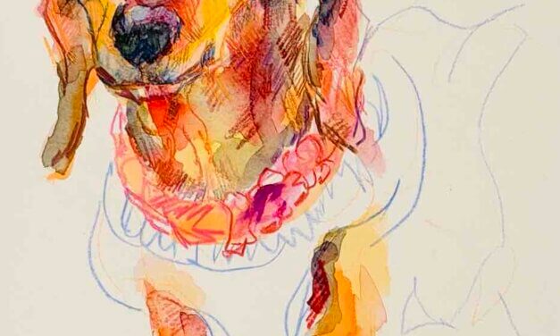 予約受付中 | ドローイングイベント | 3月8日 | ねこ展 | 神戸北野美術館 | 2026 #現代アート