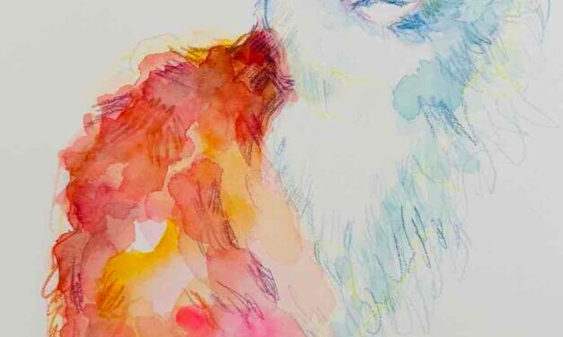 終了しました | ドローイングイベント | 3月8日 | ねこ展 | 神戸北野美術館 | 2026 #現代アート