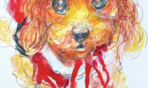 NEW | ドローイング x 紙  | 29 x 22cm #犬