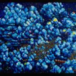 展示予定 | 夜空のまち | tokyo contemporary | 10月2日-10月4日 | 2026 #tagboat